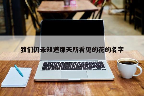 我们仍未知道那天所看见的花的名字