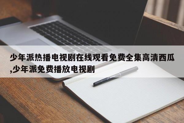 少年派热播电视剧在线观看免费全集高清西瓜,少年派免费播放电视剧