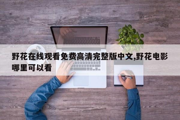 野花在线观看免费高清完整版中文,野花电影哪里可以看