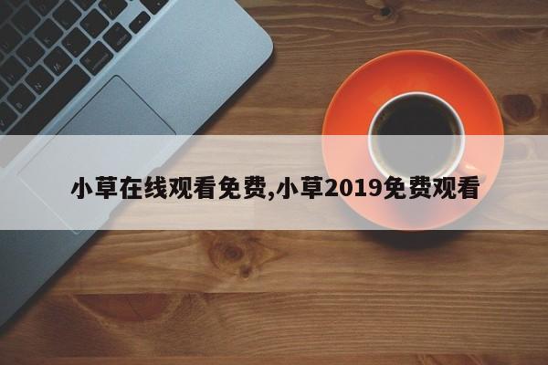 小草在线观看免费,小草2019免费观看