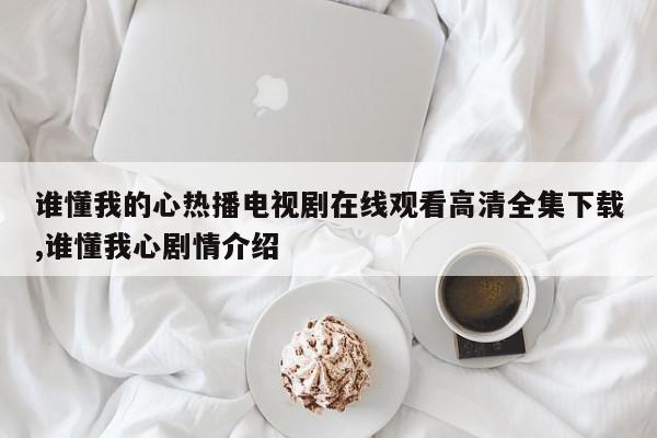 谁懂我的心热播电视剧在线观看高清全集下载,谁懂我心剧情介绍