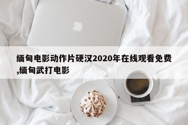 缅甸电影动作片硬汉2020年在线观看免费,缅甸武打电影