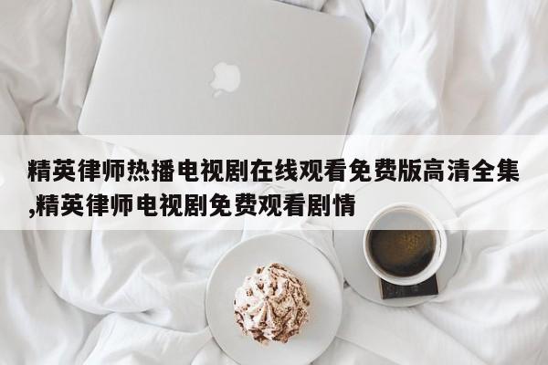 精英律师热播电视剧在线观看免费版高清全集,精英律师电视剧免费观看剧情