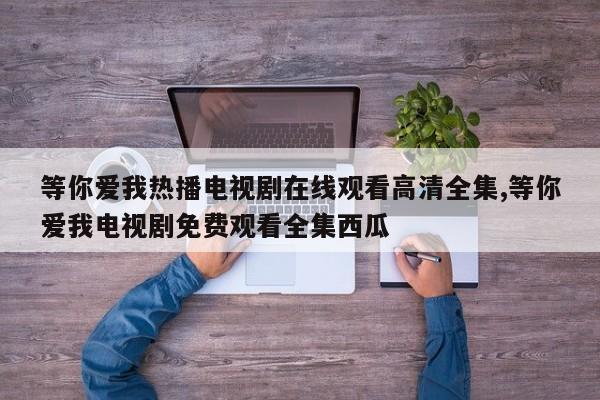 等你爱我热播电视剧在线观看高清全集,等你爱我电视剧免费观看全集西瓜