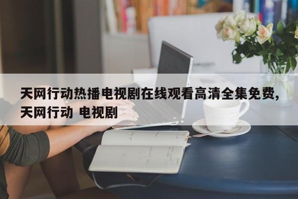 天网行动热播电视剧在线观看高清全集免费,天网行动 电视剧