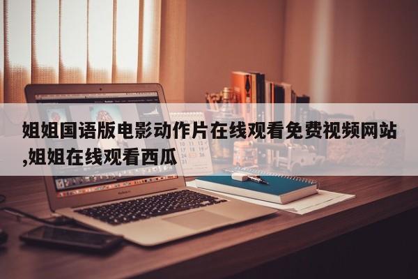 姐姐国语版电影动作片在线观看免费视频网站,姐姐在线观看西瓜