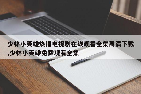 少林小英雄热播电视剧在线观看全集高清下载,少林小英雄免费观看全集