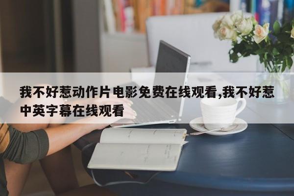 我不好惹动作片电影免费在线观看,我不好惹中英字幕在线观看