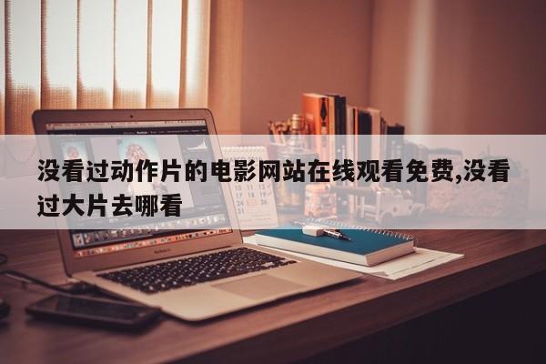 没看过动作片的电影网站在线观看免费,没看过大片去哪看