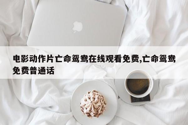 电影动作片亡命鸳鸯在线观看免费,亡命鸳鸯免费普通话